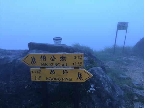 旋转轮胎